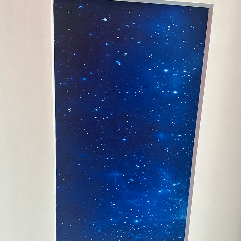 Lampy sufitowe RGBW Modern Star Możliwość dostosowania projektu Strzelanie światłowodowe Model 3D dla hotelu Niestandardowe rozwiązania graficzne Lampy sufitowe RGBW Modern Star Możliwość dostosowania projektu Strzelanie światłowodowe Model 3D dla hotelu Niestandardowe rozwiązania graficzne